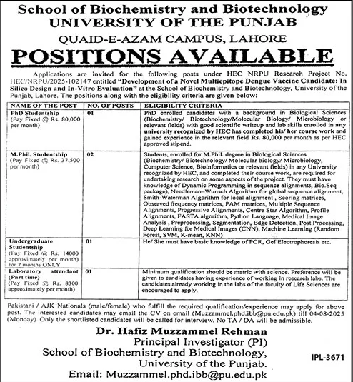 Jobs in University of the Punjab Lahore